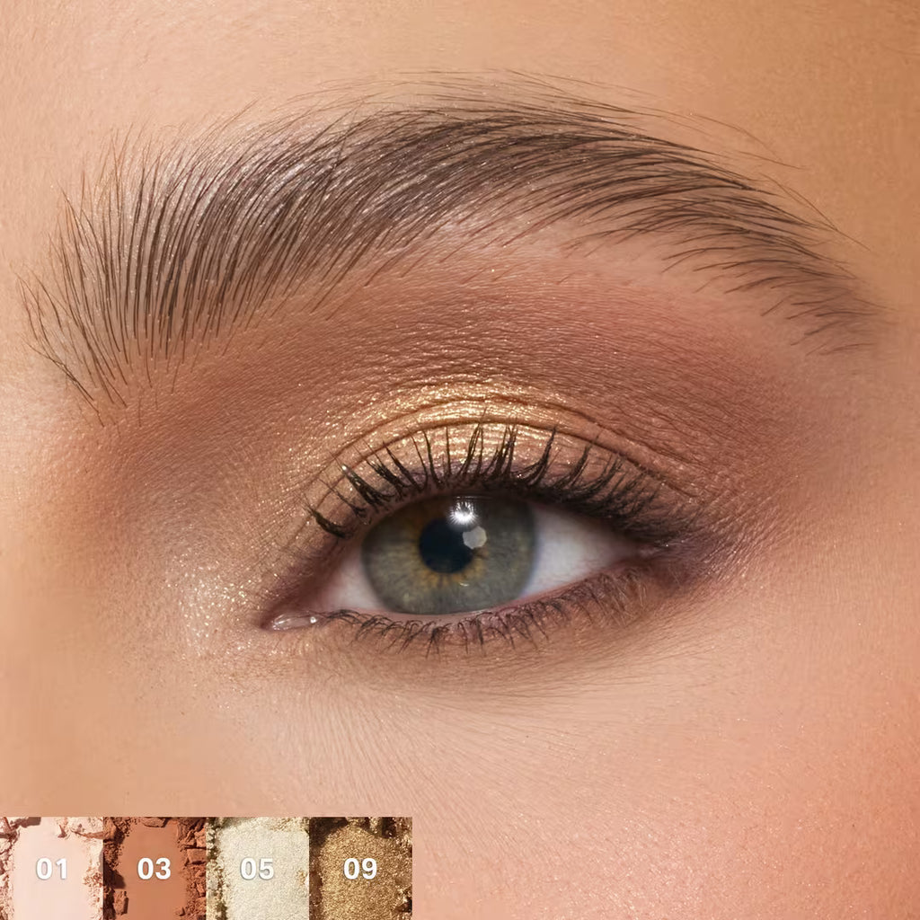 Morphe  Paleta de sombras de ojos ChromaPlus de 12 tonos